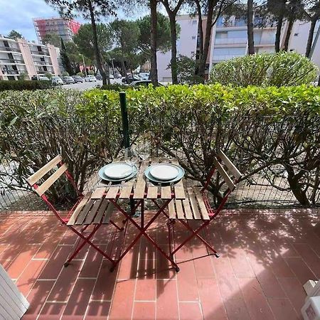 Charmant Studio Climatise A 50 M De La Plage Apartment Argeles-sur-Mer Exterior photo